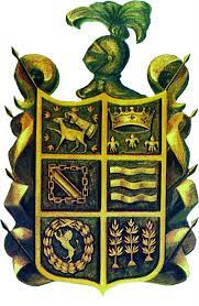 Municipalidad Provincial de Ica